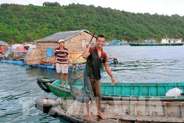 Nguồn thu từ nghề nuôi cá lồng bè Thổ Châu