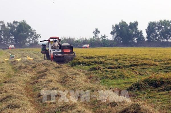 Huyện nông thôn mới phải có tỉ lệ hài lòng của người dân đạt từ 90% trở lên
