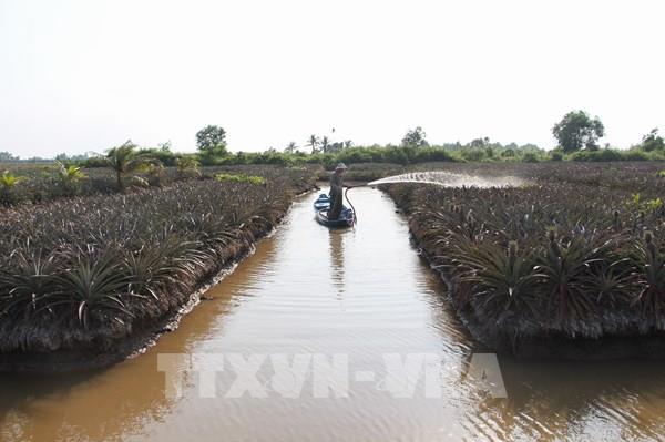 Từ ngày 26/3 - 6/4, các tỉnh ĐBSCL có thể tranh thủ lấy nước ngọt
