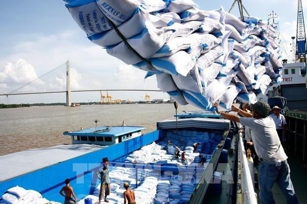 Tạm dừng xuất khẩu gạo: Ý kiến từ doanh nghiệp