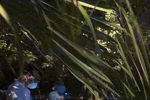 Dịch COVID-19: Hà Nội cho các quận huyện sở ngành ra quyết định cách ly