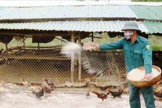 Thanh Hóa công bố hết dịch cúm gia cầm A/H5N6