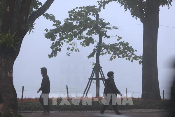 Dự báo thời tiết ngày 30/1: Hà Nội sáng có sương mù nhẹ, ngày nắng