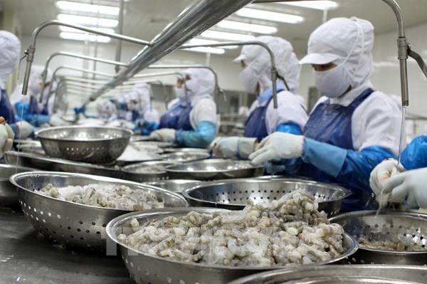 Giải pháp nào giúp tăng trưởng kinh tế theo kỳ vọng?