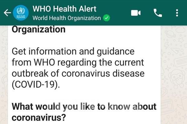 WHO ra mắt chatbot chống tin giả trên WhatsApp