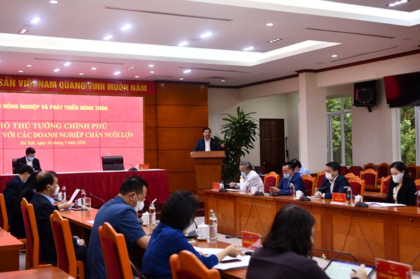 Phó Thủ tướng Trịnh Đình Dũng: Tăng mạnh đàn lợn nhưng không để mất cân đối cung cầu