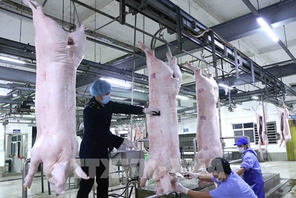 Doanh nghiệp cam kết đưa giá lợn về 70.000 đồng/kg
