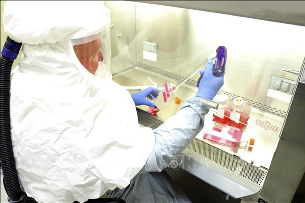Mỹ và công ty Johnson & Johnson hợp tác sản xuất vaccine ngừa virus SARS-CoV-2