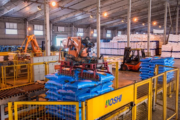 DCM đặt mục tiêu chia cổ tức 16% trong năm 2023