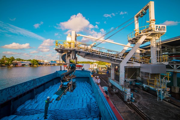 Quý I/2020: Lợi nhuận Đạm Cà Mau vượt 18% kế hoạch