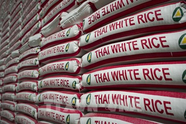 FAO: Thế giới cần hành động để không khủng hoảng lương thực vì COVID-19