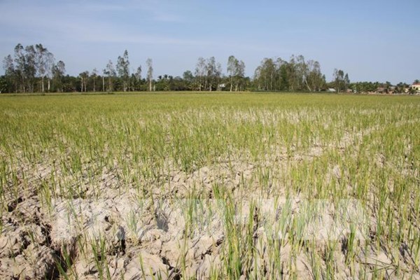 Xây dựng phương án chống hạn hán ở khu vực Trung bộ, Tây Nguyên