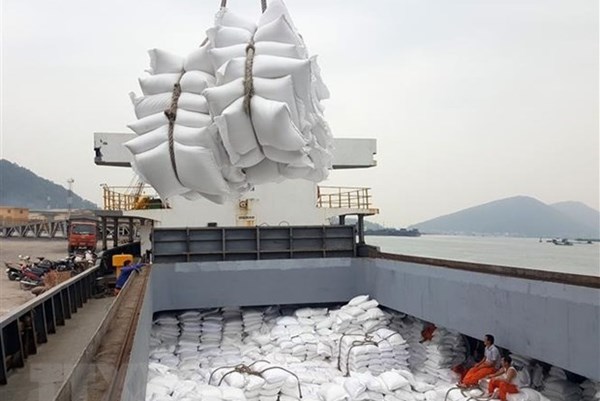 Nắm bắt cơ hội đấu thầu nhập khẩu gạo Hàn Quốc