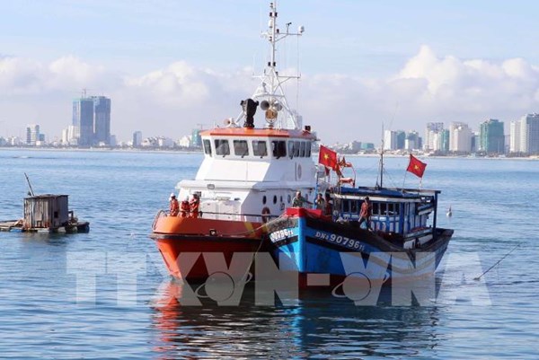 Dịch COVID-19: Cục Hàng hải Việt Nam thực hiện nhiều giải pháp hỗ trợ doanh nghiệp