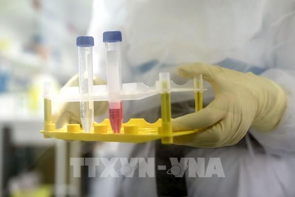 Nghiên cứu vaccine phòng virus SARS-CoV-2 trên chuột cho kết quả khả quan