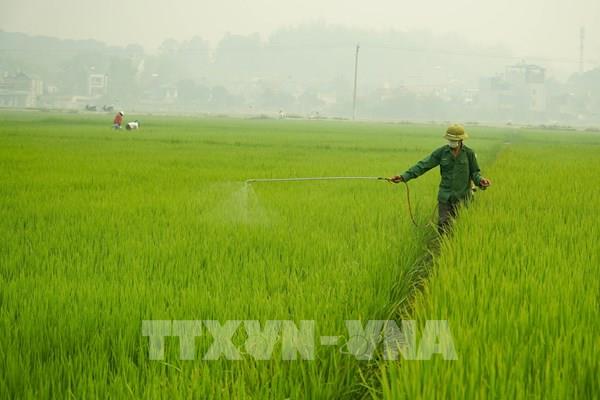 Tiếp tục miễn thuế đất nông nghiệp liệu có làm giảm thu ngân sách nhà nước?