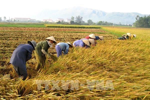 Dịch COVID-19: Cắt giảm chi tiêu công hỗ trợ đồng bào khó khăn  