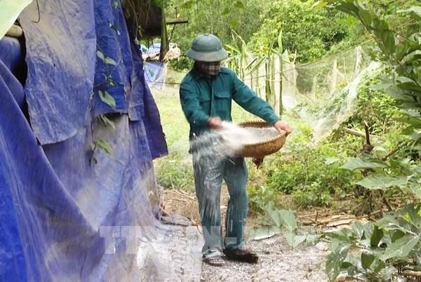 Tuyên Quang phát hiện ổ dịch cúm gia cầm đầu tiên