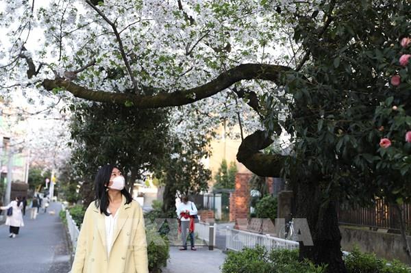 Dịch COVID-19: Tokyo (Nhật Bản) ghi nhận số ca nhiễm cao nhất trong một ngày