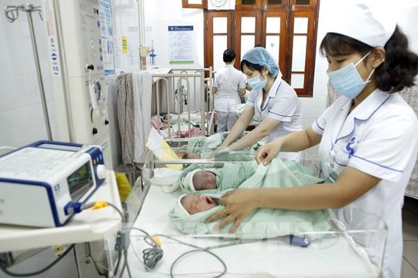 Những thiên thần tý hon chào đời trong mùa dịch