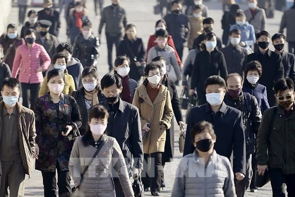WHO: Triều Tiên triển khai xét nghiệm virus SARS-CoV-2