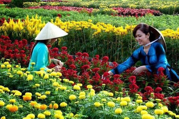 Bến Tre xây dựng Làng Văn hóa Du lịch Chợ Lách