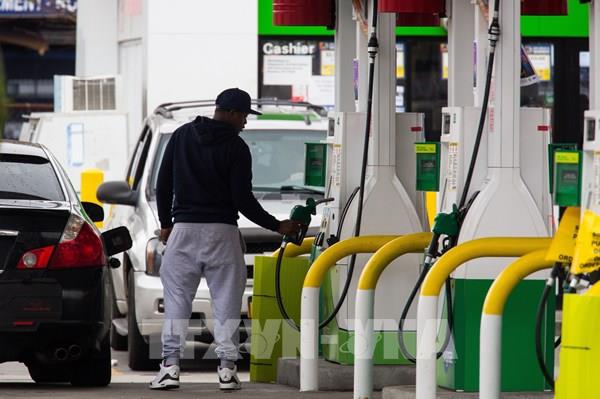 OPEC+ đồng thuận ngăn đà "rơi tự do" của giá dầu