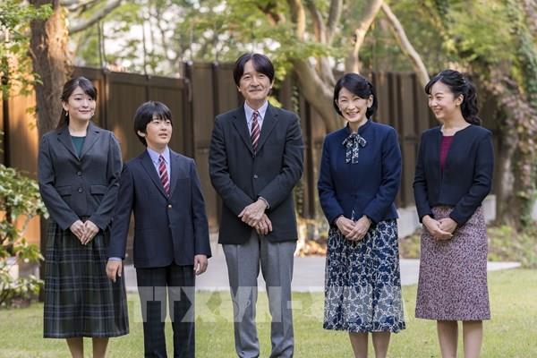 Nhật Bản hoãn lễ công bố người kế vị Nhật hoàng