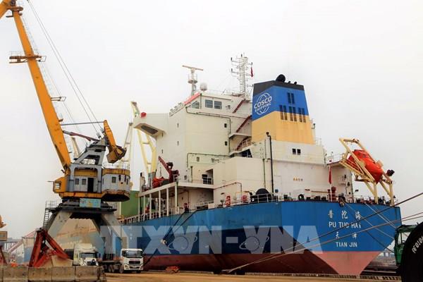 Cảng Hải Phòng đón 3 tàu kích thước lớn vào làm hàng