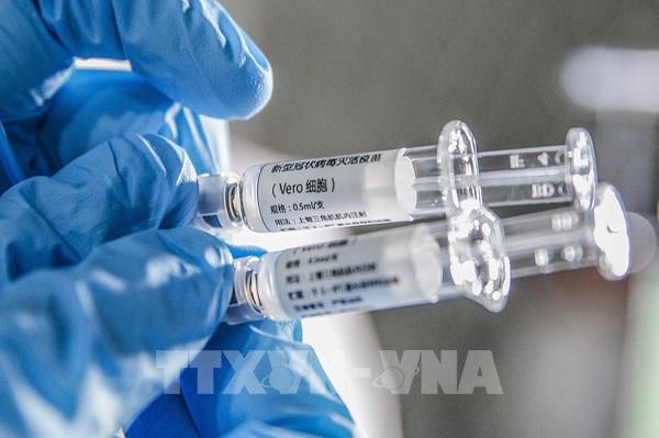 Các hãng dược Nhật Bản chạy đua phát triển vaccine phòng COVID-19