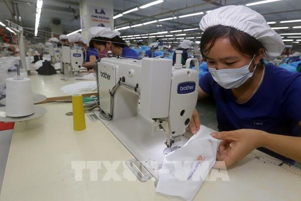 Quý I/2020, lợi nhuận sau thuế của TNG giảm 10%