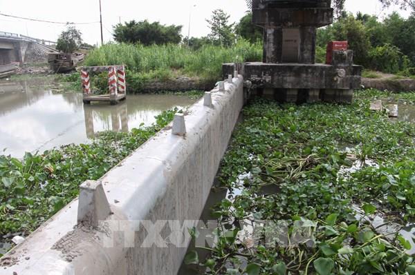 Xâm nhập mặn ở Đồng bằng sông Cửu Long giảm dần trong 10 ngày tới