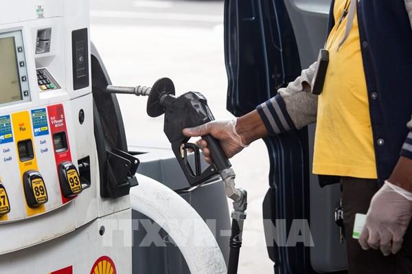 Giá dầu mỏ tham chiếu hàng ngày của OPEC giảm xuống 17,51 USD/thùng