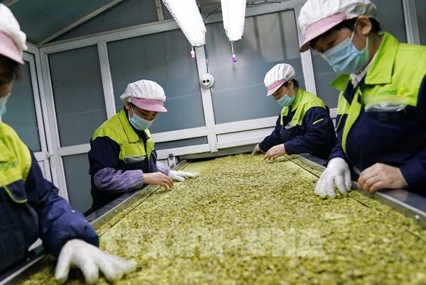 Trung Quốc tổ chức hội chợ việc làm trực tuyến đến hết tháng 6/2020