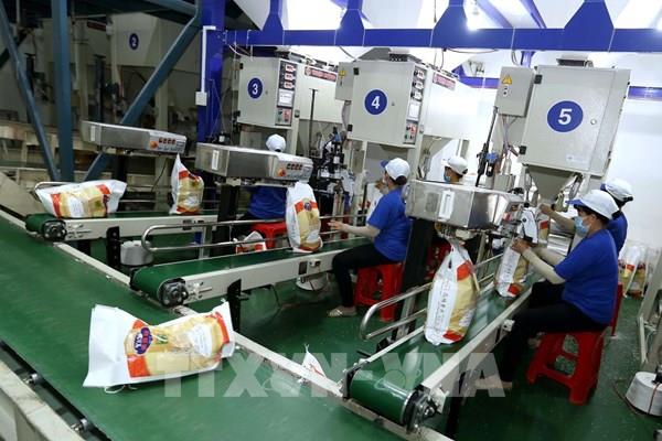 Tp. Hồ Chí Minh có 4 lĩnh vực muốn hợp tác với bang Victoria (Australia)