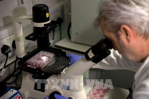 Anh thử nghiệm vaccine phòng COVID-19 trên người