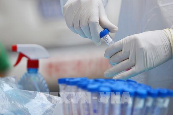 201/268 bệnh nhân mắc COVID-19 tại Việt Nam được công bố khỏi bệnh