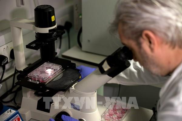 WHO sẽ khởi xướng sáng kiến chia sẻ thuốc và vaccines phòng chống COVID-19