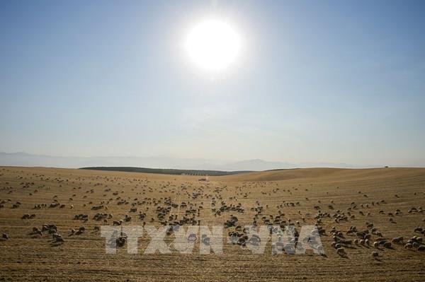 Cận cảnh khô hạn kỷ lục trong thiên niên kỷ qua ở miền Tây nước Mỹ