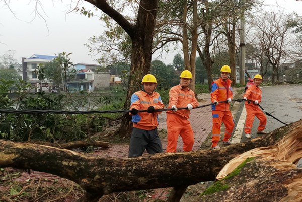 Ngành điện miền Bắc đảm bảo “nhiệm vụ kép”