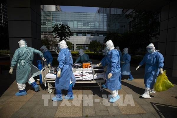 WHO: "Rất nhiều khả năng" virus SARS-CoV-2 xuất phát từ động vật