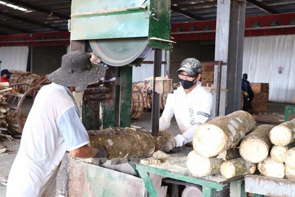 Gia Lai: Các khu công nghiệp, khu kinh tế cửa khẩu ứng phó linh hoạt với dịch