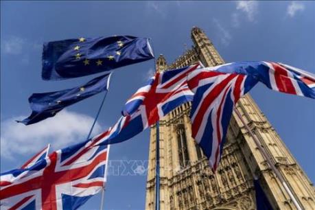Lý do Anh không đề nghị kéo dài thời gian chuyển tiếp Brexit?