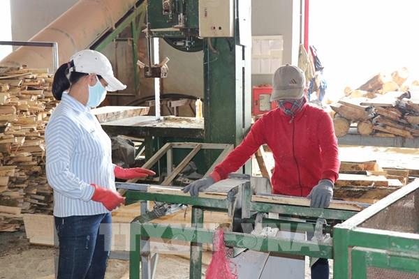 Bộ Kế hoạch và Đầu tư đề nghị các hiệp hội khẩn trương báo cáo tình hình doanh nghiệp