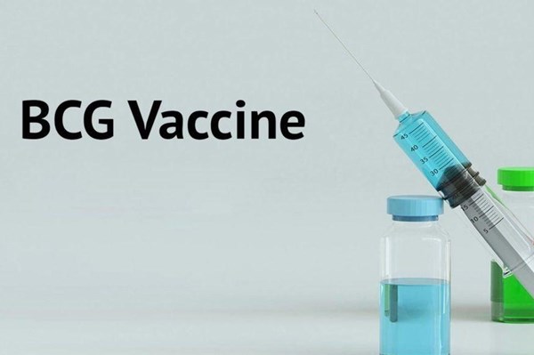 Ấn Độ sắp thử nghiệm vaccine phòng lao BCG để chống COVID-19
