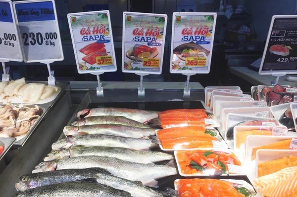 Big C hỗ trợ tiêu thụ cá hồi Sapa (Lào Cai)