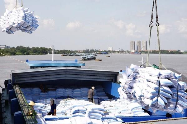 Bộ Tài chính đề xuất giải pháp tháo gỡ vướng mắc về hạn ngạch xuất khẩu gạo