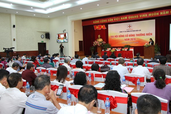 EVN Finance hoãn đại hội cổ đông thường niên 2020