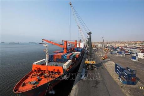 Cơ hội đầu tư trong lĩnh vực đổi mới sáng tạo tại châu Phi hậu COVID-19