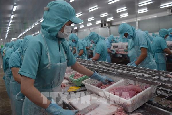 Thông tin vui cho doanh nghiệp xuất khẩu cá tra, basa hậu COVID-19